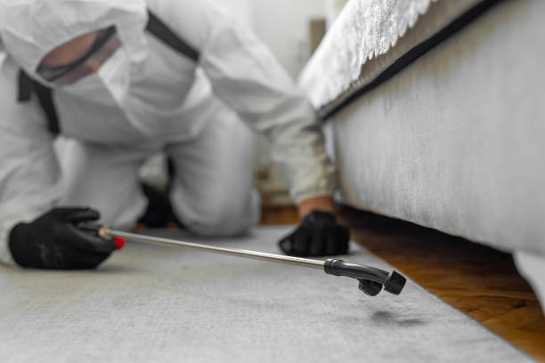Professional Bed Bug Control technician working in Houston County County, MN